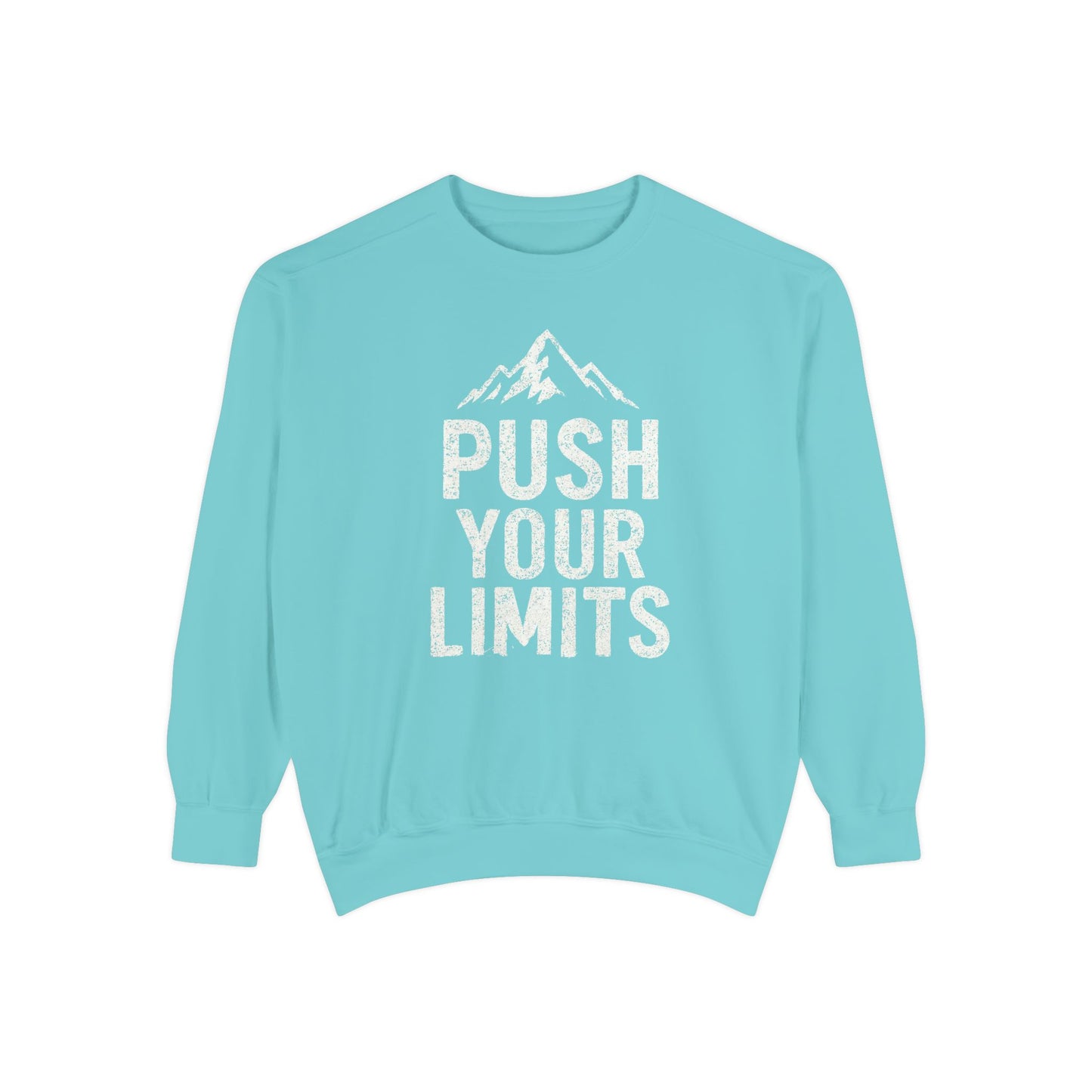 Push Your Limits Vintage Wash Women's Premium Crewneck Sweatshirt