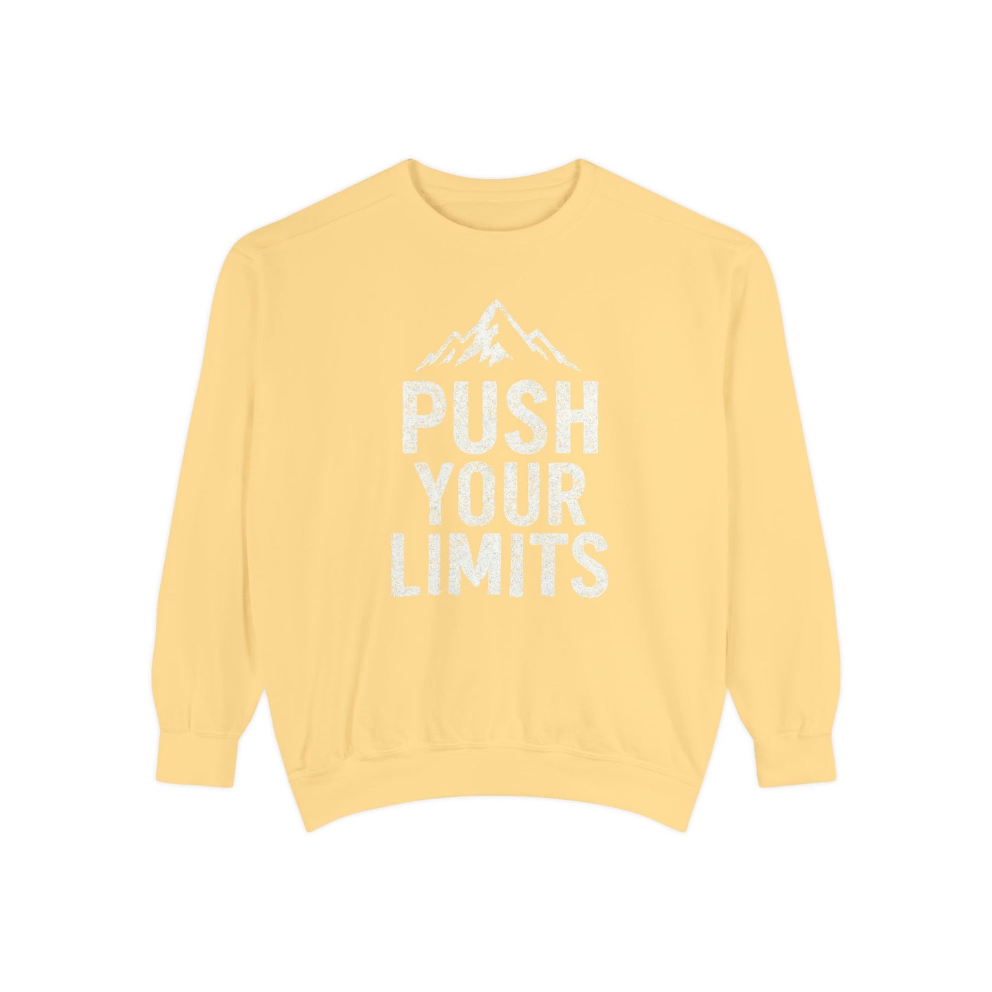 Push Your Limits Vintage Wash Women's Premium Crewneck Sweatshirt