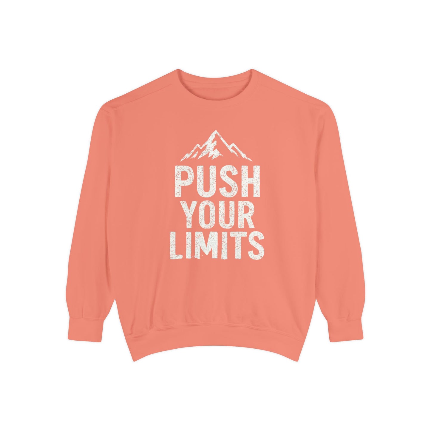 Push Your Limits Vintage Wash Women's Premium Crewneck Sweatshirt