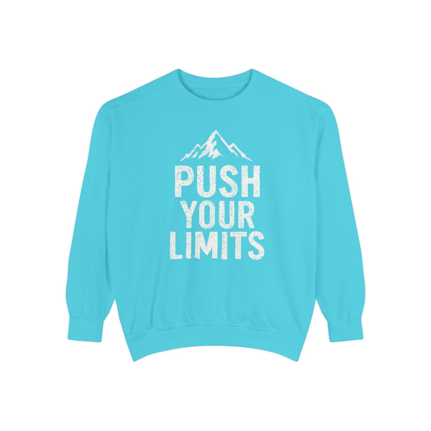 Push Your Limits Vintage Wash Women's Premium Crewneck Sweatshirt